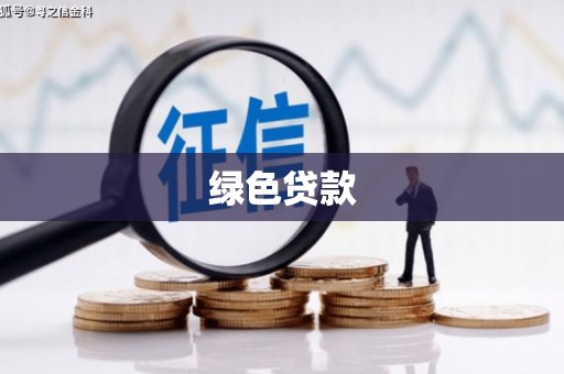 玉井绿色贷款