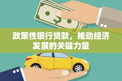 玉井政策性银行贷款，推动经济发展的关键力量