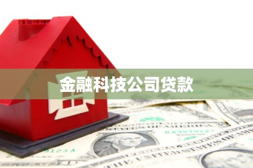 玉井金融科技公司贷款