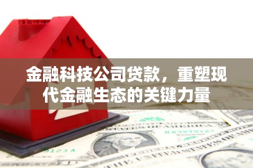 玉井金融科技公司贷款，重塑现代金融生态的关键力量