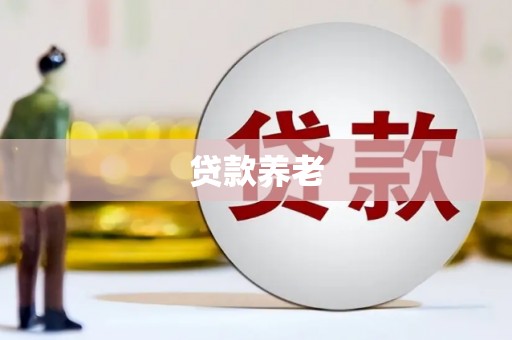玉井贷款养老