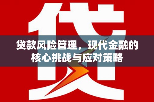 玉井贷款风险管理，现代金融的核心挑战与应对策略