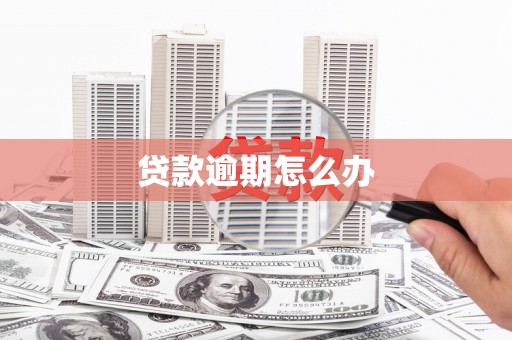 玉井贷款逾期怎么办