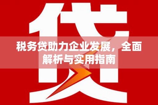 玉井税务贷助力企业发展，全面解析与实用指南