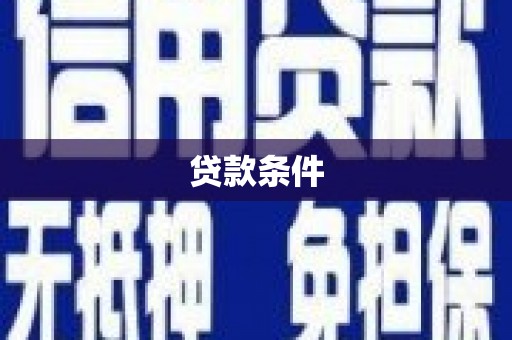 玉井贷款条件