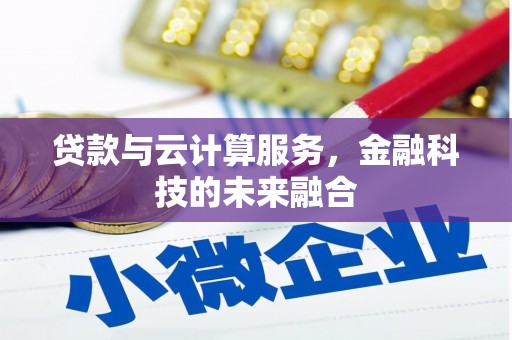 玉井贷款与云计算服务，金融科技的未来融合