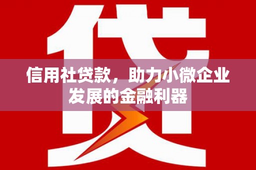 玉井信用社贷款，助力小微企业发展的金融利器