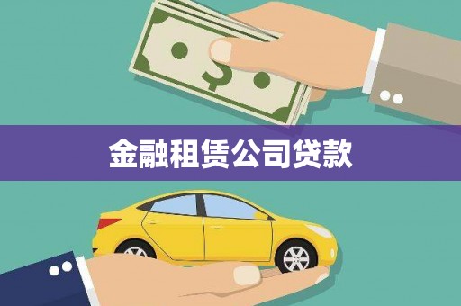 玉井金融租赁公司贷款