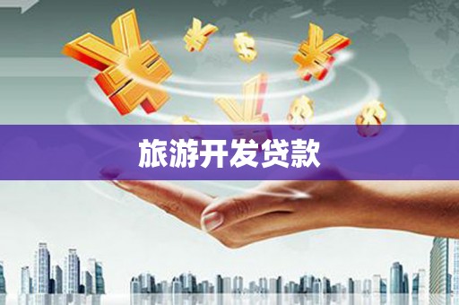 玉井旅游开发贷款
