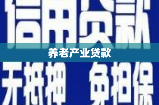 玉井养老产业贷款