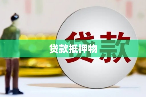 玉井贷款抵押物