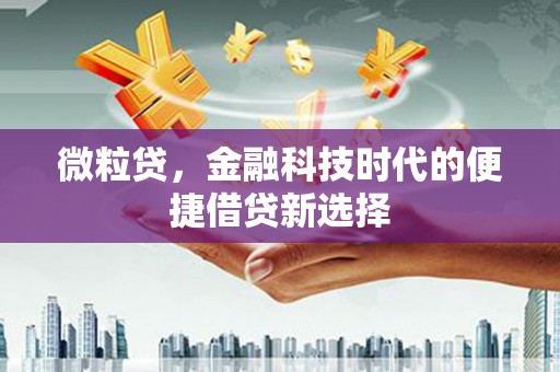 玉井微粒贷，金融科技时代的便捷借贷新选择