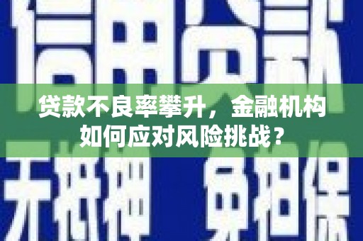 玉井贷款不良率攀升，金融机构如何应对风险挑战？