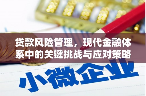 玉井贷款风险管理，现代金融体系中的关键挑战与应对策略