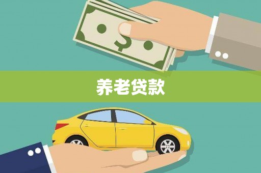 玉井养老贷款