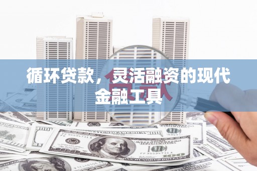 玉井循环贷款，灵活融资的现代金融工具