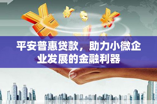 玉井平安普惠贷款，助力小微企业发展的金融利器