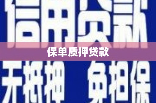 玉井保单质押贷款