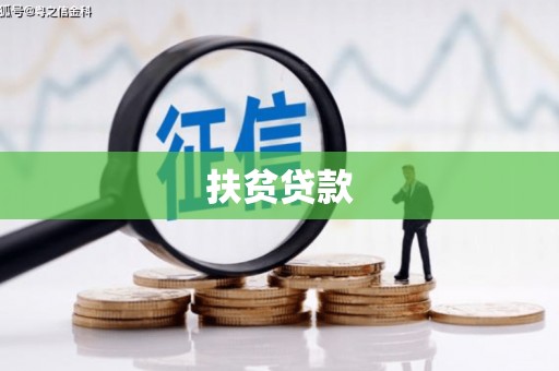玉井扶贫贷款