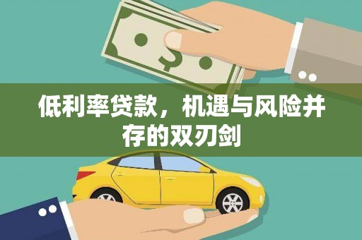 玉井低利率贷款，机遇与风险并存的双刃剑