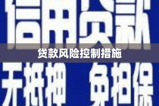 玉井贷款风险控制措施